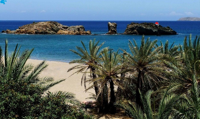 Azijnpisser en dokter P. Pisser wensen u prettige feestdagen en veel sterkte voor 2013