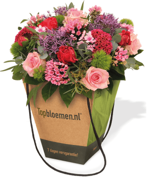 Dwangarbeid in Nederland anno 2016!!