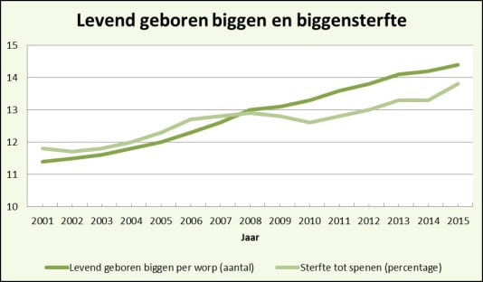 Jaarlijks sterven 5 miljoen biggen al voor de slacht en Greenpeace klaagt de Rabobank aan