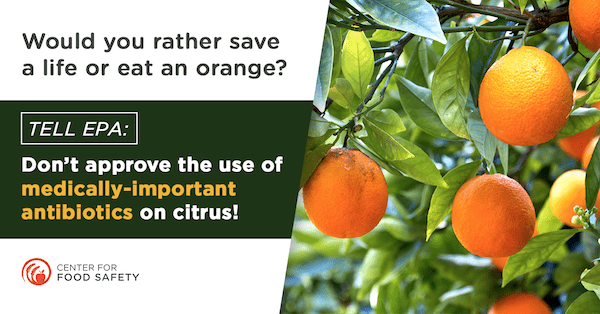 Antibiotica wordt ook misbruikt op sinaasappels