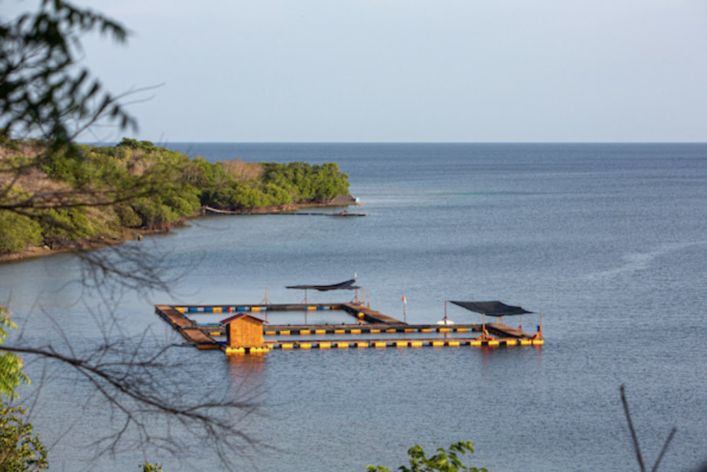 Bali, Indonesia, home of the world’s first permanent dolphin sanctuary. Credit: DolphinProject.com