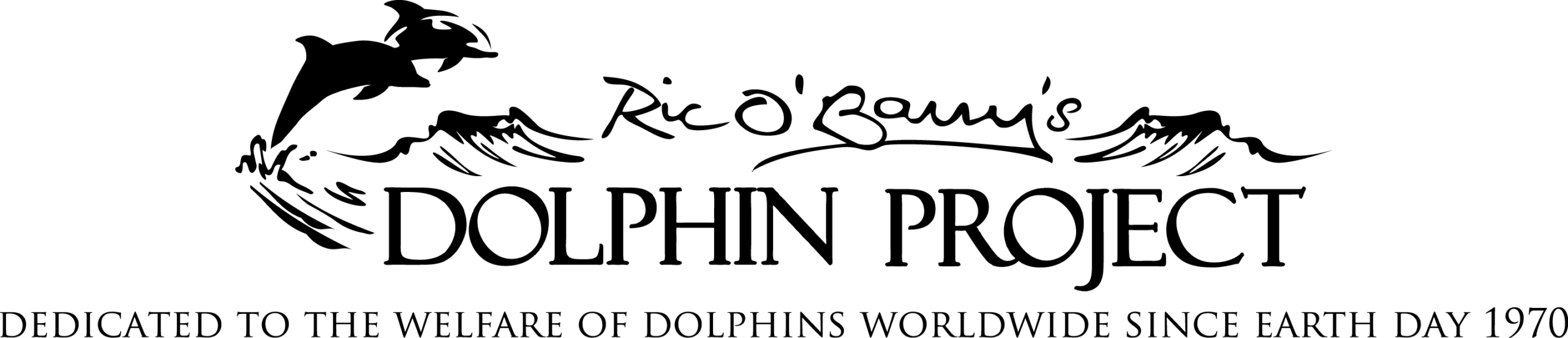 Taiji (Japan): het ‘jachtseizoen is gesloten’, ofwel de bloedige slachtpartijen op dolfijnen ‘zijn voor even afgelopen’