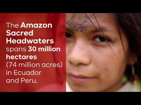 ING, Rabobank en BNP Paribas financieren de oliewinning in het Amazonegebied: u wordt opgelicht!!