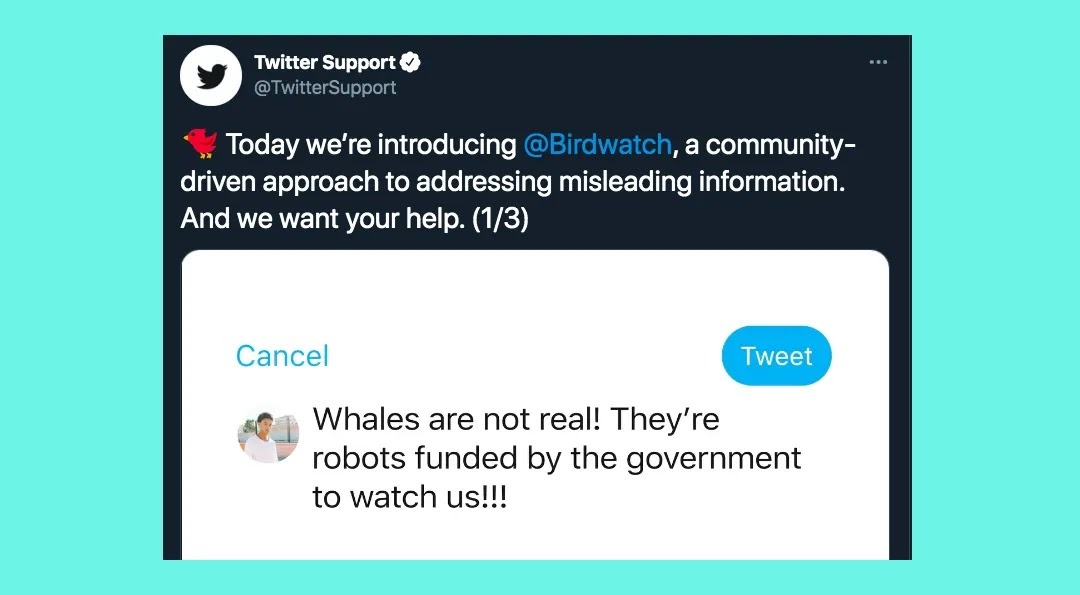 Twitter komt met een nieuwe vorm van censuur: ‘Birdwatch’, naar voorbeeld van Wikipedia