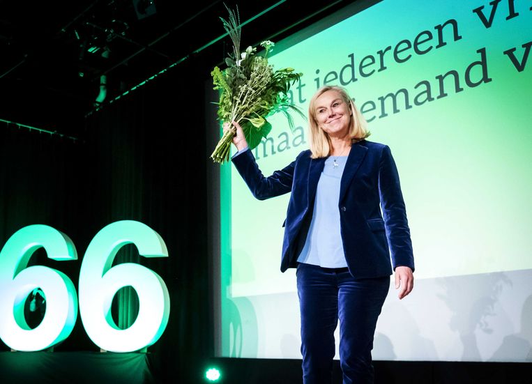 D66 laat niemand vallen, behalve dan de huurders en de mensen die recht hebben op toeslagen…….