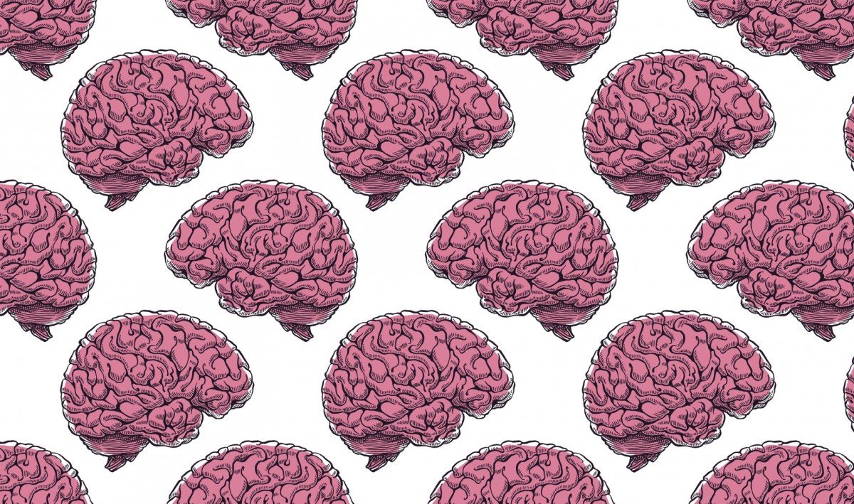 VS eist dat Rusland haar troepen terugtrekt van de Oekraïense grens en volgens inlichtingenbron: politiek het grootste gevaar voor burgers VS……..