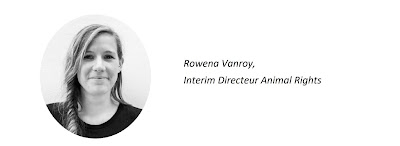 BPRC Rijswijk weer in de kijker met zware mishandeling van apen