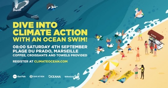 Actie van de ‘groene Europese Commissie’ hoognodig om overbevissing middels sleepnetten tegen te gaan