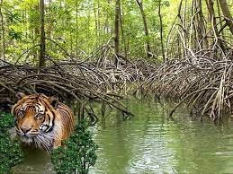 Obama krijgt Emmy Award voor inspreken Netflix serie ‘Our Great National Parks’ die hij zelf heeft geproduceerd….