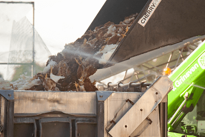 Vogelgriep: in EU al 50 miljoen vogels vergast, in Nederland staat de teller op 6 miljoen en toch wordt vaccinatie geweigerd