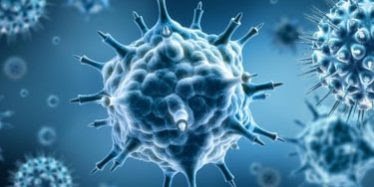 COVID ondanks alle bewijzen dat de maatregelen niet hebben geholpen blijft men aandringen op permanente grondwetschendende maatregelen…..