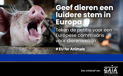 Noodzaak voor Europese commissaris ten behoeve van dierenwelzijn is groter dan ooit