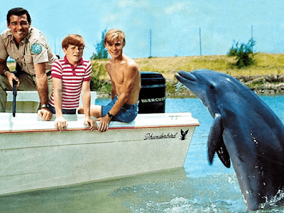 FN>4U: instortende bruggen en viaducten.  Flipper en het laatste rondreizende dolfijnencircus.  Grote grazers >> enorm succes voor jagers