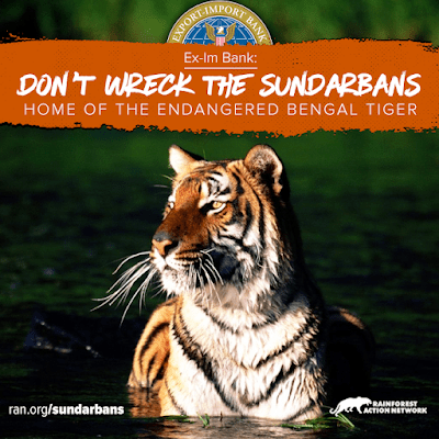 Australia Day: allesbehalve een dag om te vieren voor de Aboriginals en mensen die verder nadenken dan hun neus lang is